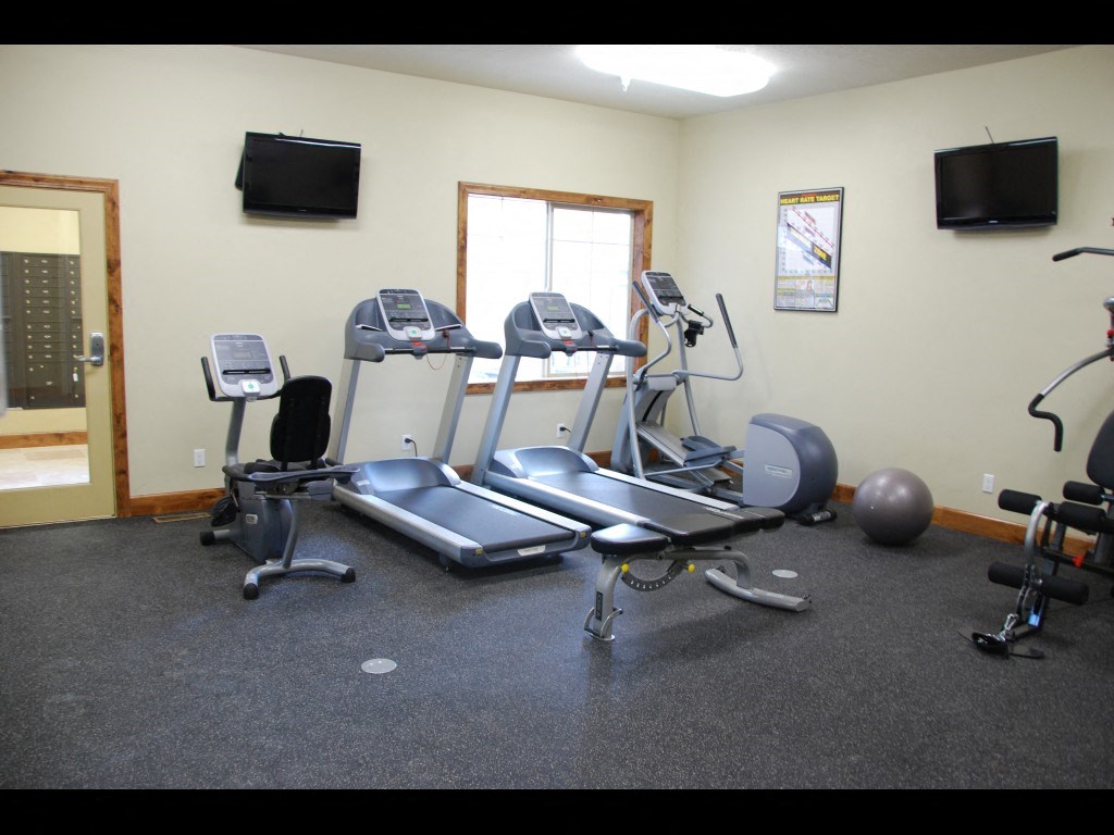 the gym has cardio equipment and a variety of weights