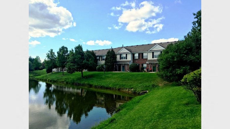 apartments on a grassy hill next to a river