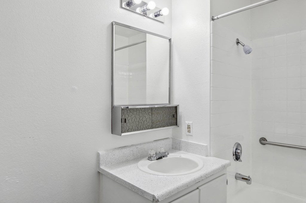 a bathroom with a sink and a mirror and a shower