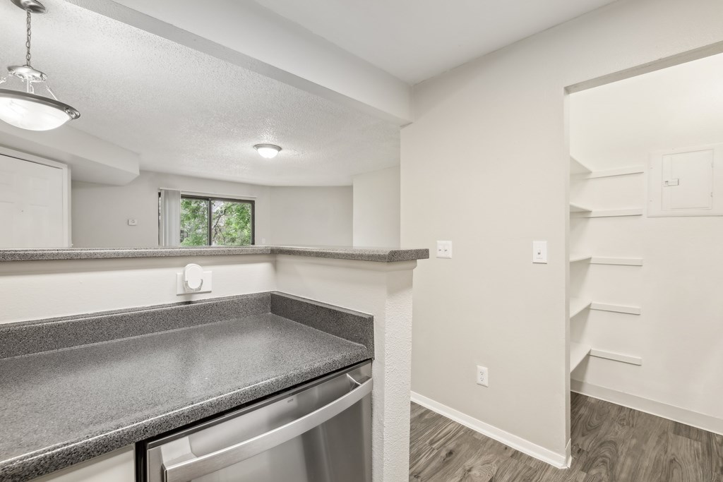 A kitchen with a granite countertop and stainless steel dishwasher.