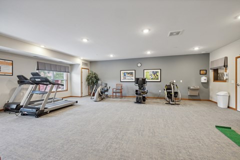 the gym with treadmills and weights in a home gym with a large window