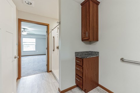 a bathroom with a vanity and a closet and a door to a bedroom