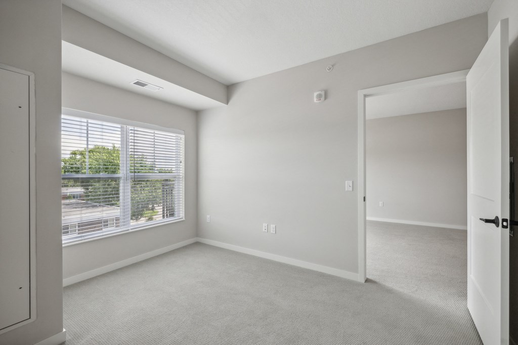 Plush Carpeting at The Hendrickson, Minnesota, 55113