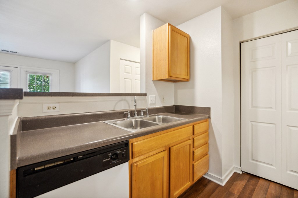 a kitchen with a sink and a dishwasher and a window