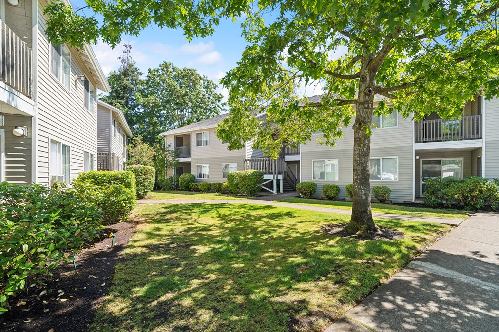 a tree in the middle of a yard between two apartment buildings