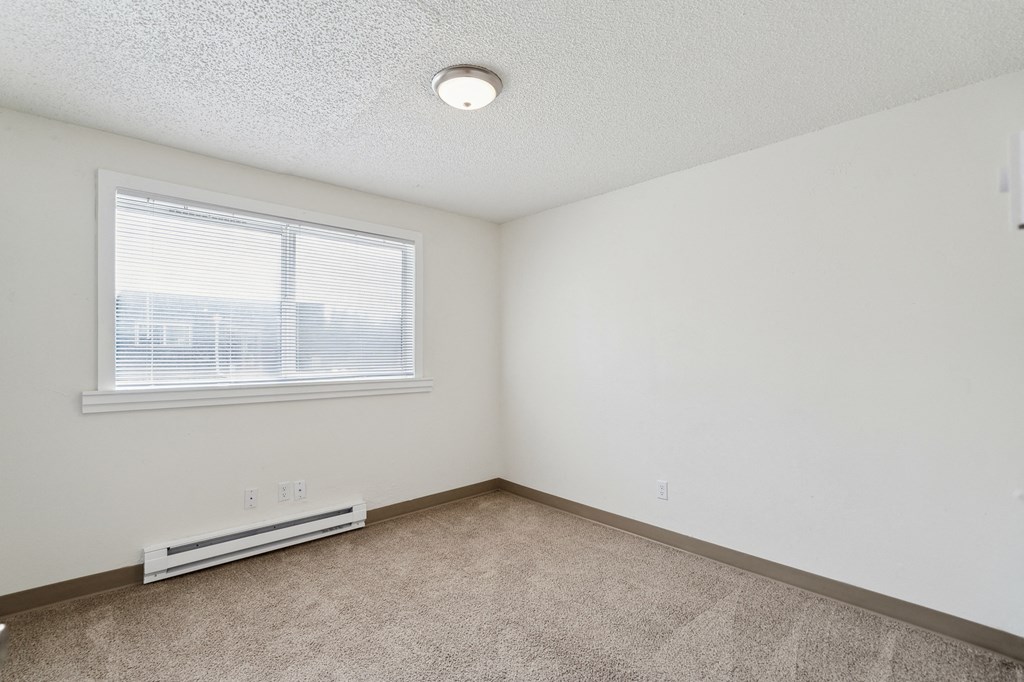 the living room of an apartment with carpet and a window