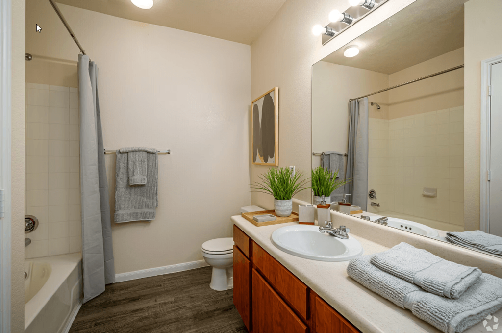 a bathroom with a large mirror and a tub with a shower curtain