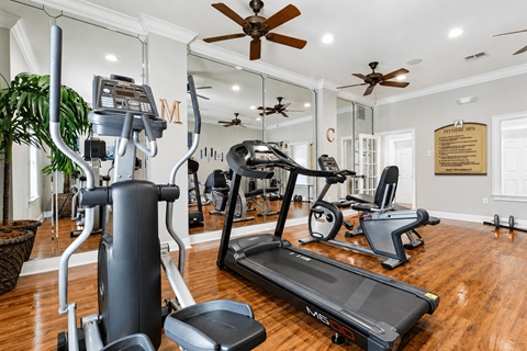 A well-equipped home gym with a variety of exercise machines.