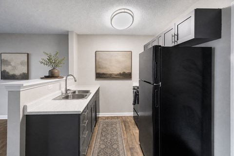 A black refrigerator stands in a kitchen with a white sink and black cabinets.