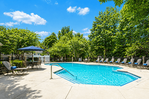 A large outdoor swimming pool surrounded by trees and lounge chairs.