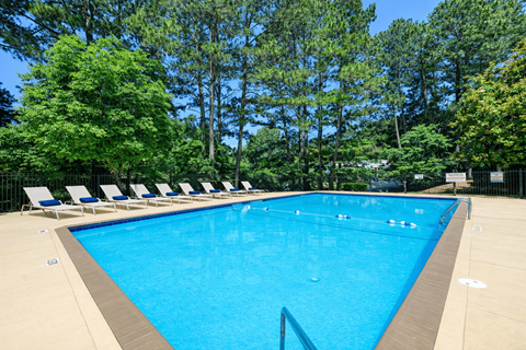 A large blue swimming pool surrounded by trees and lounge chairs.