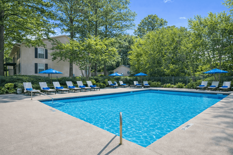 A large swimming pool surrounded by trees and lounge chairs.