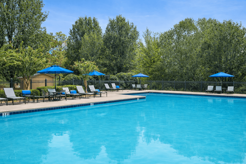 A large swimming pool surrounded by trees and lounge chairs.