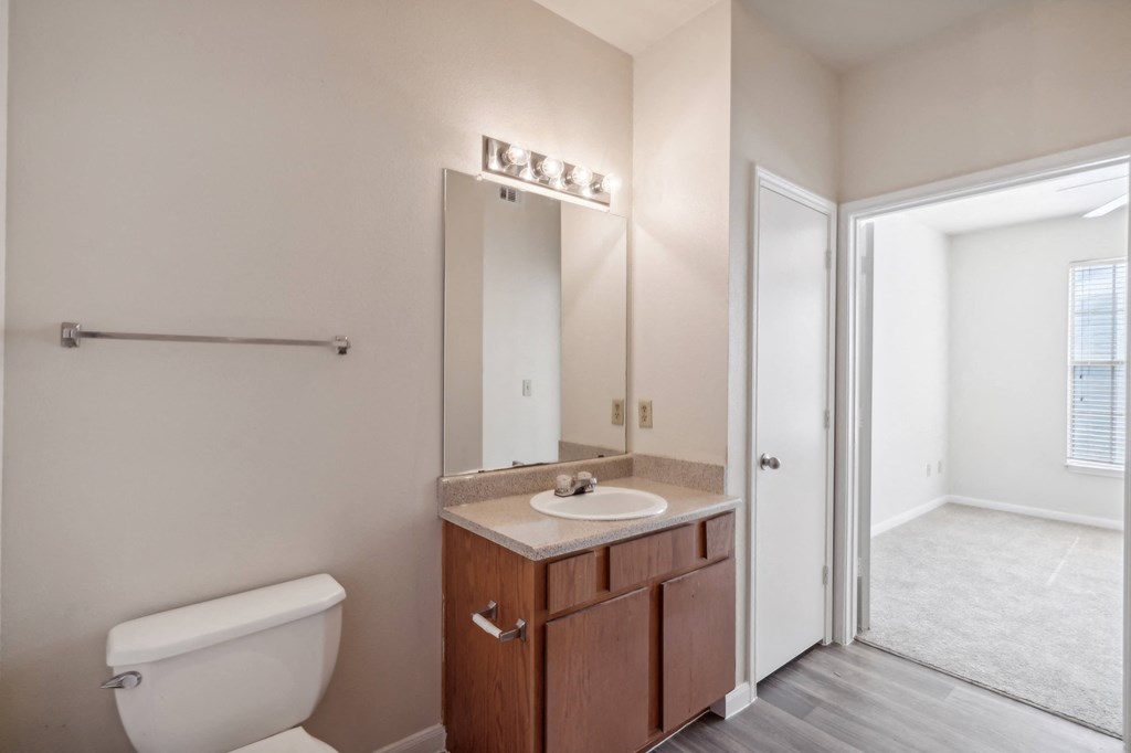 a bathroom with a toilet and a sink and a mirror