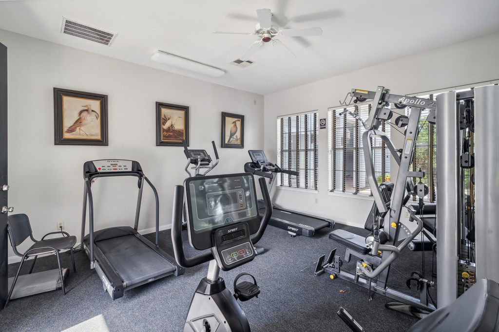 gym with exercise equipment and windows in a home gym