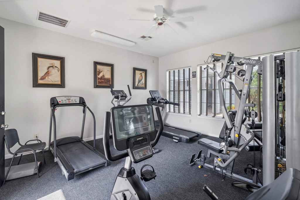 gym with exercise equipment and windows in a home gym at St. Augustine Estate, Texas 75227