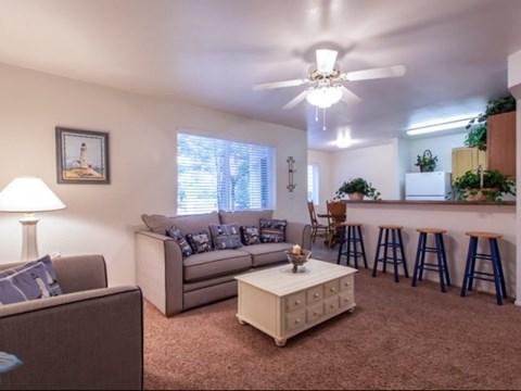 a living room with a couch and a kitchen with a bar