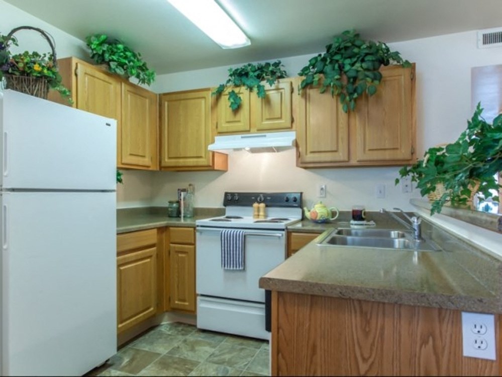 a kitchen with white appliances and wooden cabinets and plants
