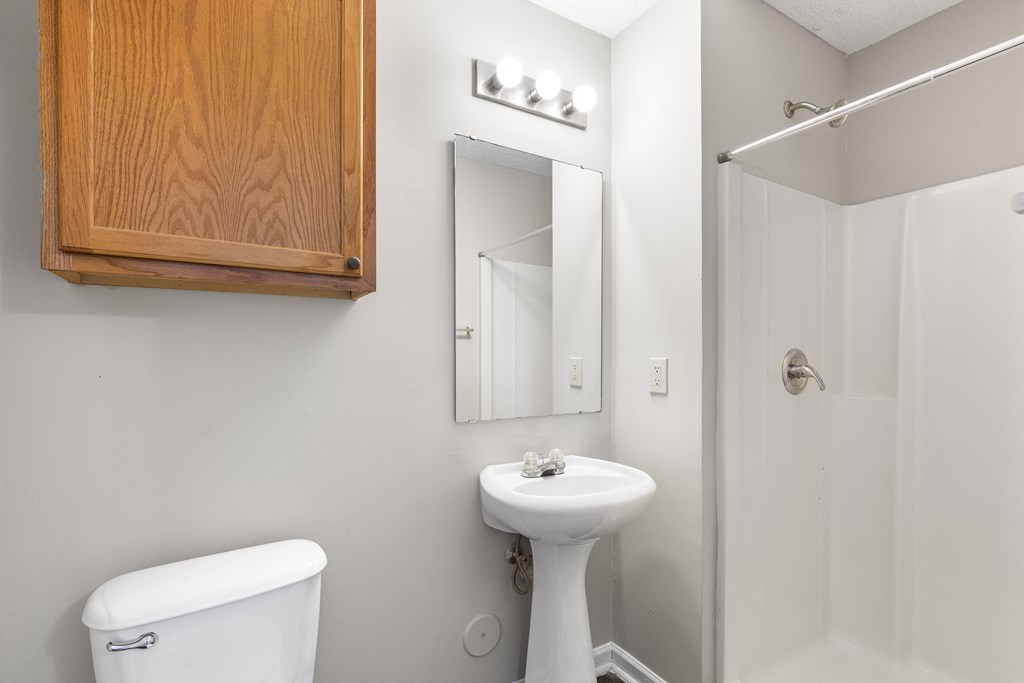 a bathroom with a sink and a mirror and a shower