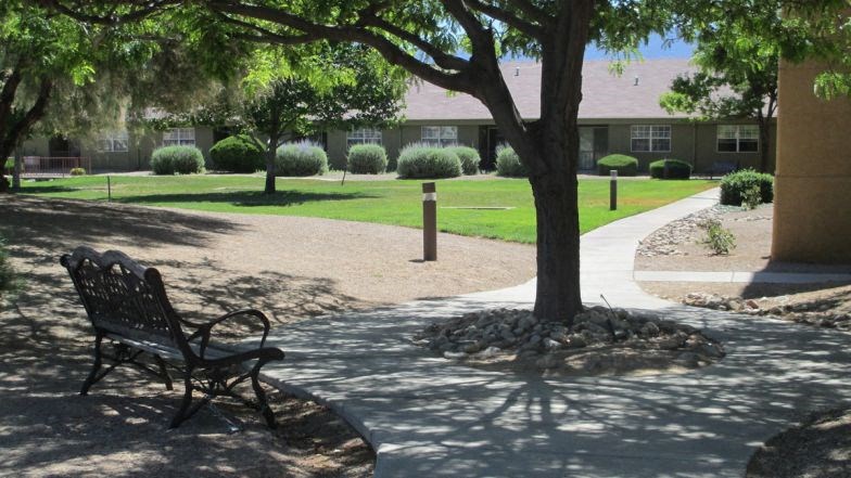 a park bench sitting under a tree in front of a building
