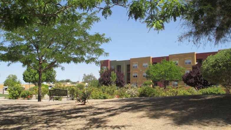 a building with trees and bushes in front of it