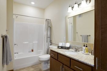 Safety Equipped Bathrooms