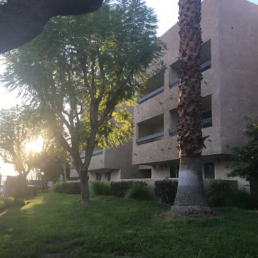a large building with trees in front of it