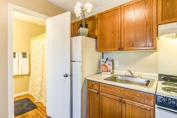 Functional Kitchens with Double Stainless Steel Sink*