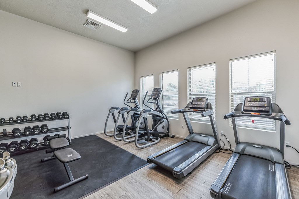 A gym with treadmills, weights, and exercise bikes.