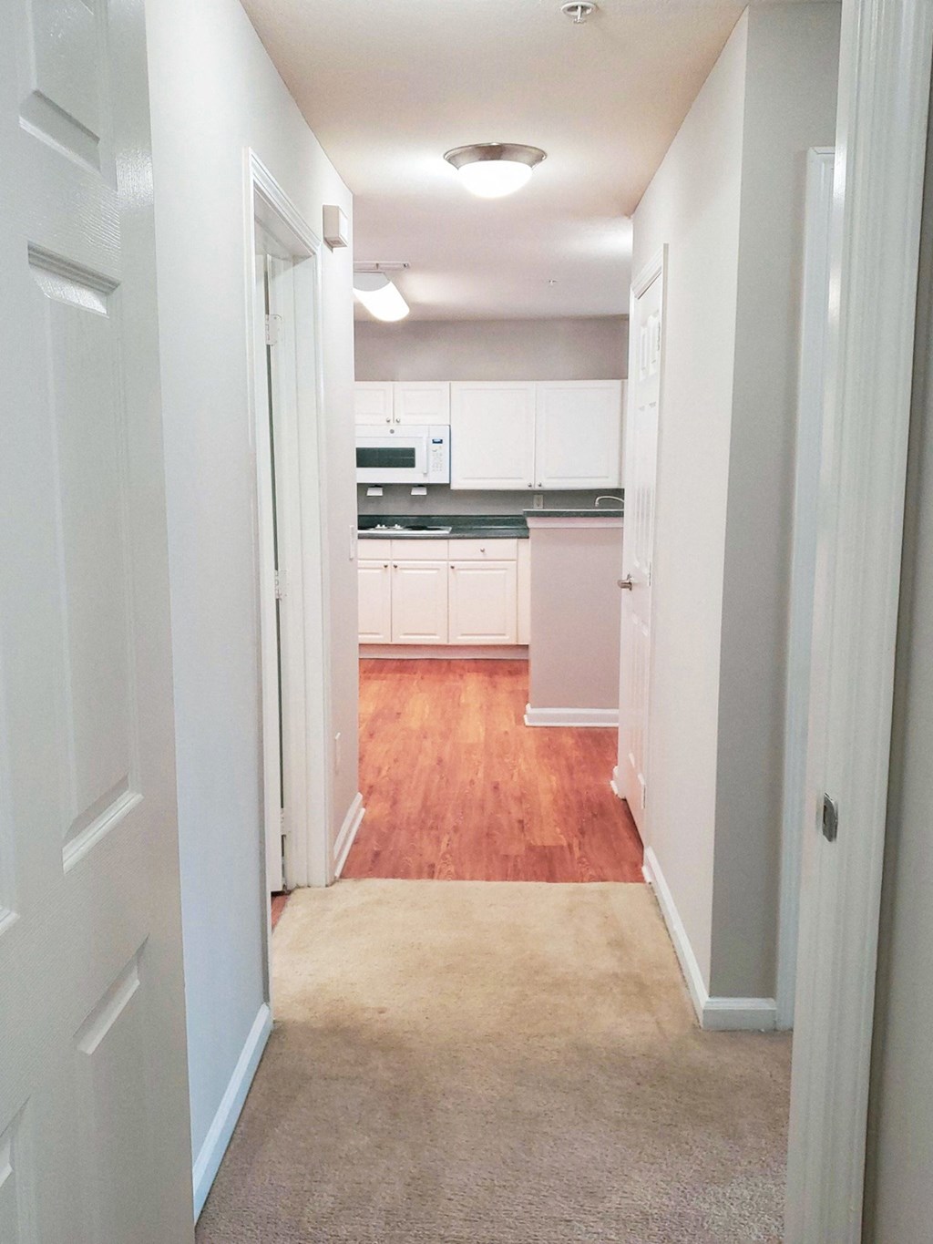 A hallway in an apartment with light gray walls and beige carpet leading to a kitchen with white cabinets, dark countertops, and wood flooring. Several white doors are visible along the hallway
