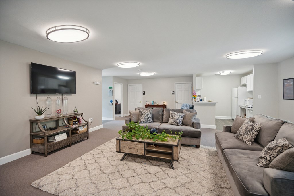 Open-concept living room with comfortable sofas, decorative pillows, a coffee table with plants, a large area rug, wall-mounted television, and an adjoining kitchen with white cabinetry.
