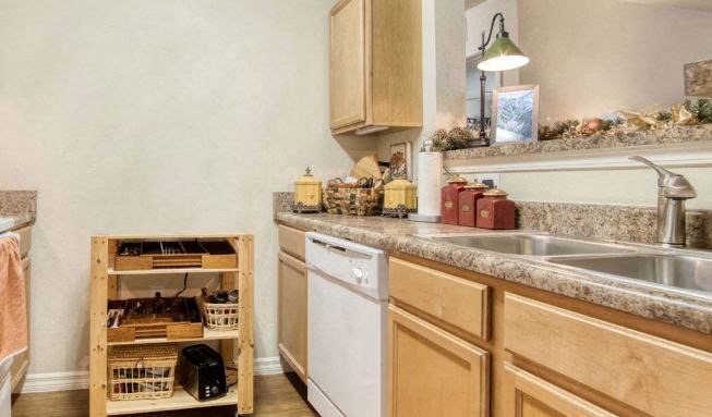 a kitchen with a sink and a dishwasher