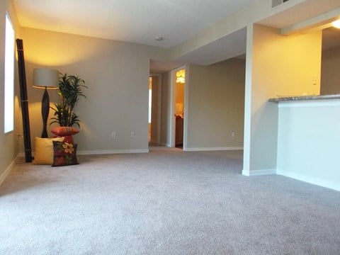 an empty living room with carpet and a potted plant