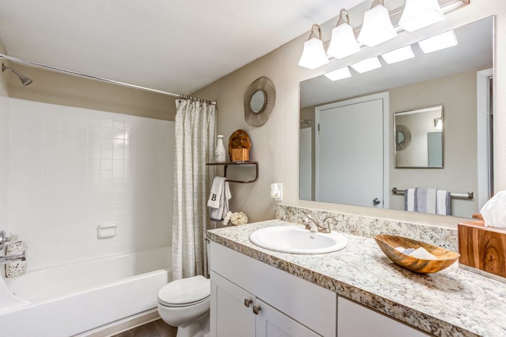 a bathroom with a sink and a toilet and a tub