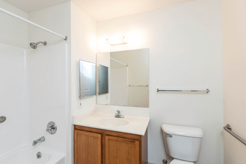 a bathroom with a toilet and a sink and a mirror