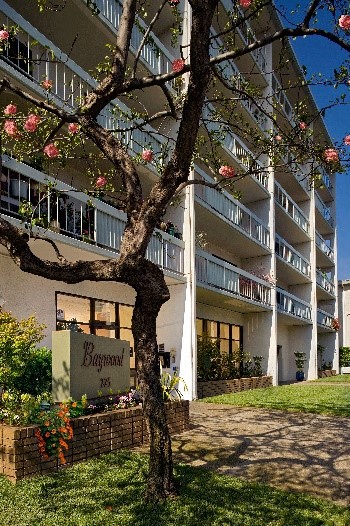 a tree in front of an apartment building