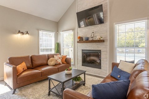 a living room with couches and a television and a fireplace