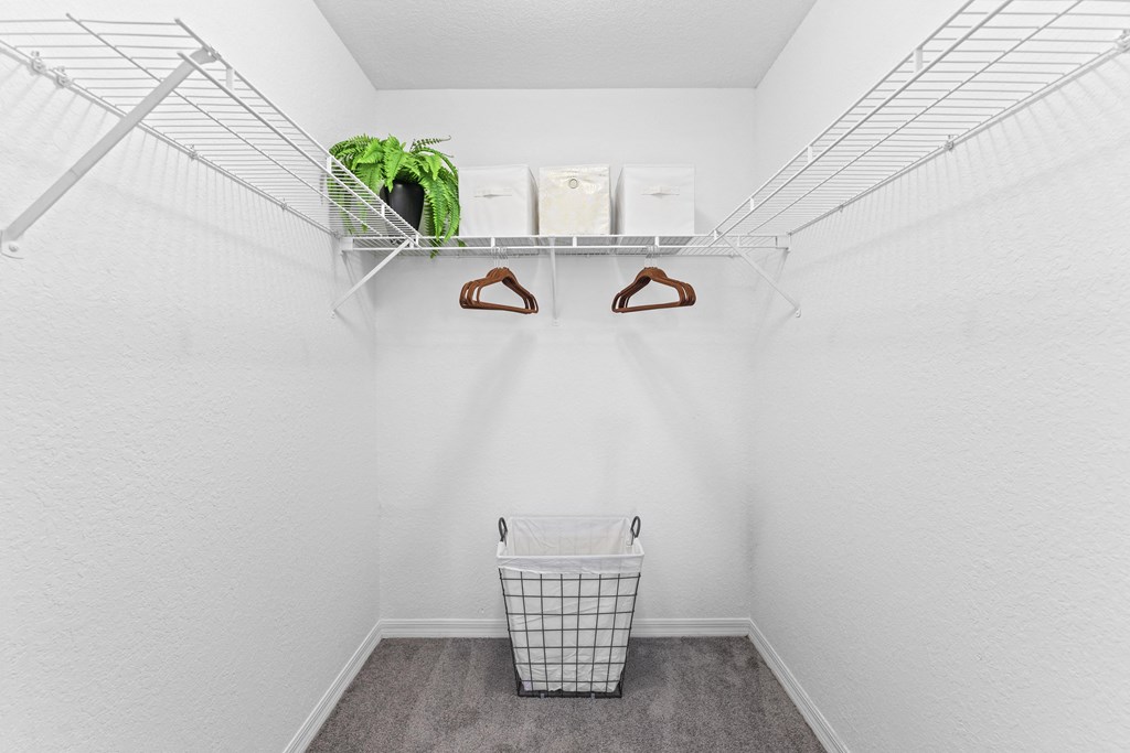 a laundry room with a basket and shelves and a plant