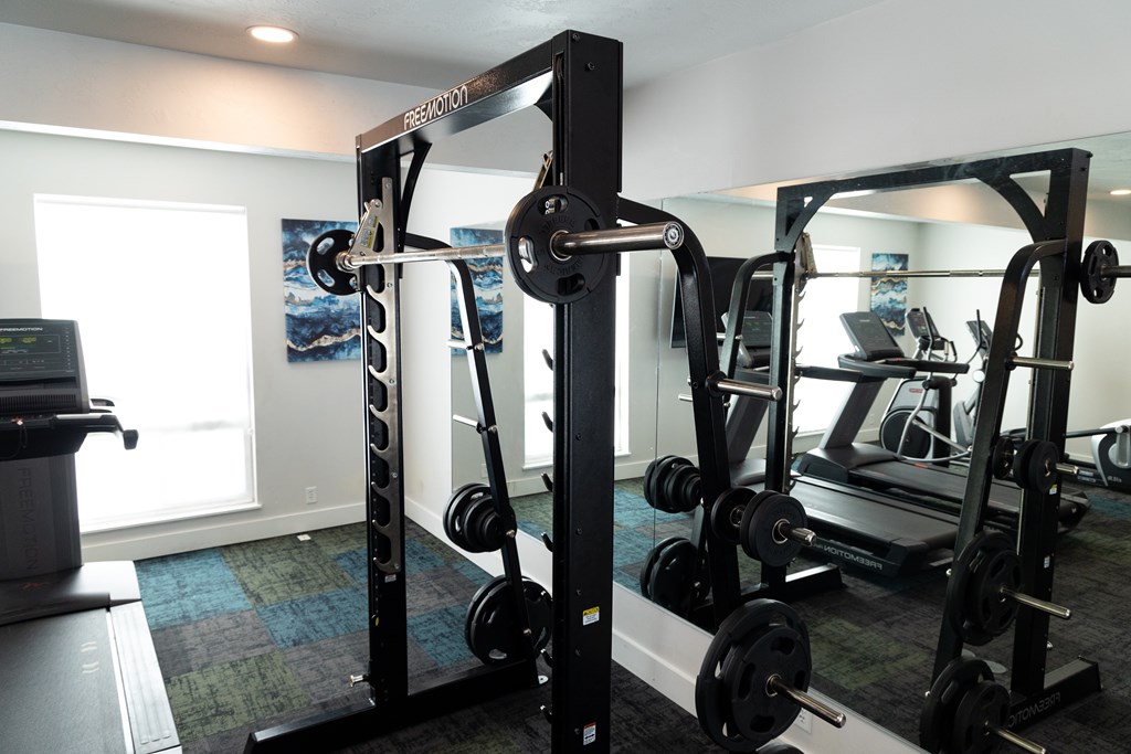 a home gym with weights and cardio equipment