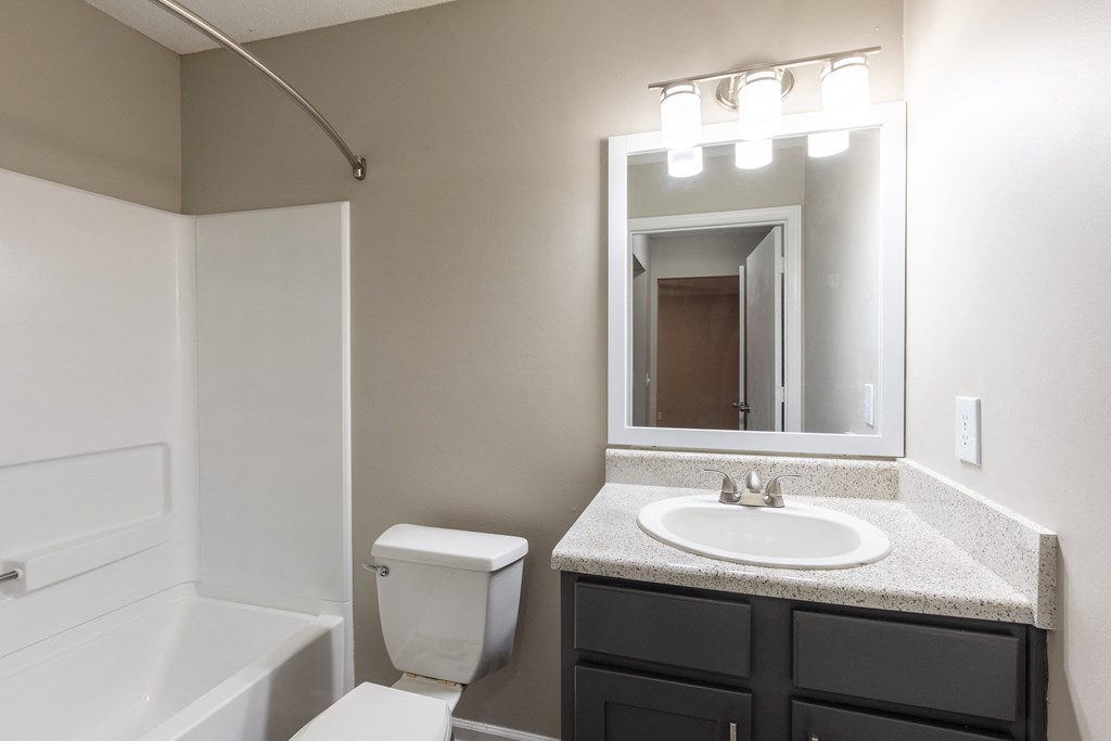 a bathroom with a sink and a toilet and a mirror
