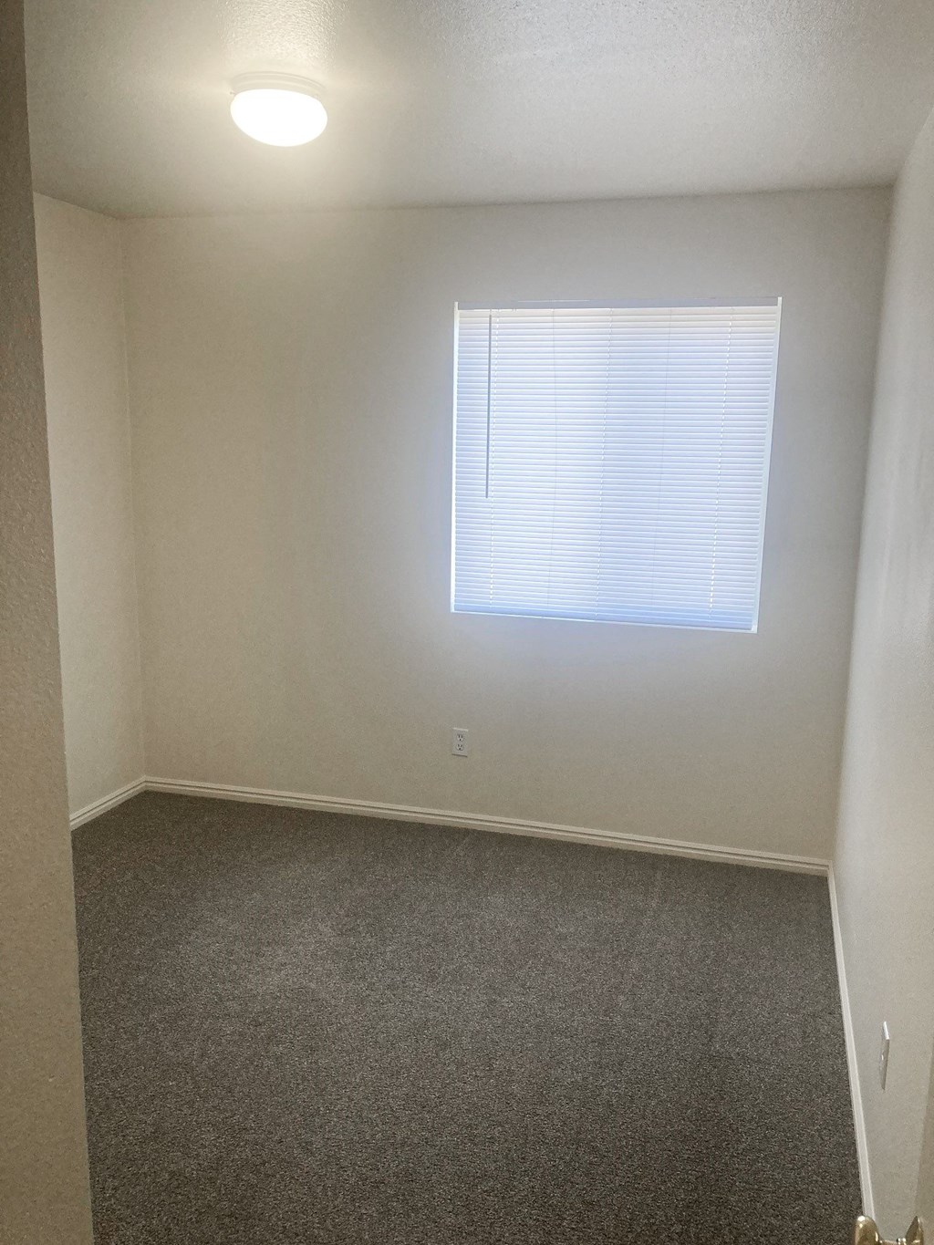 a empty room with a window and a carpet