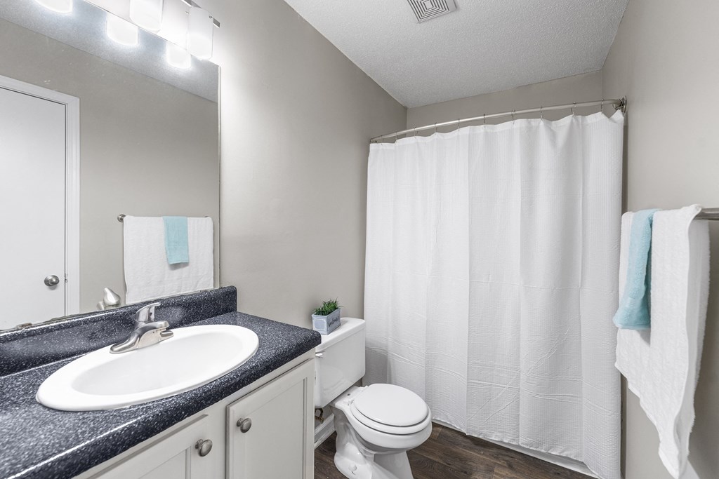 a bathroom with a sink and a toilet and a shower