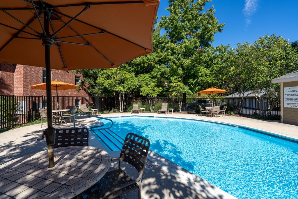 our apartments have a large swimming pool with chairs and an umbrella