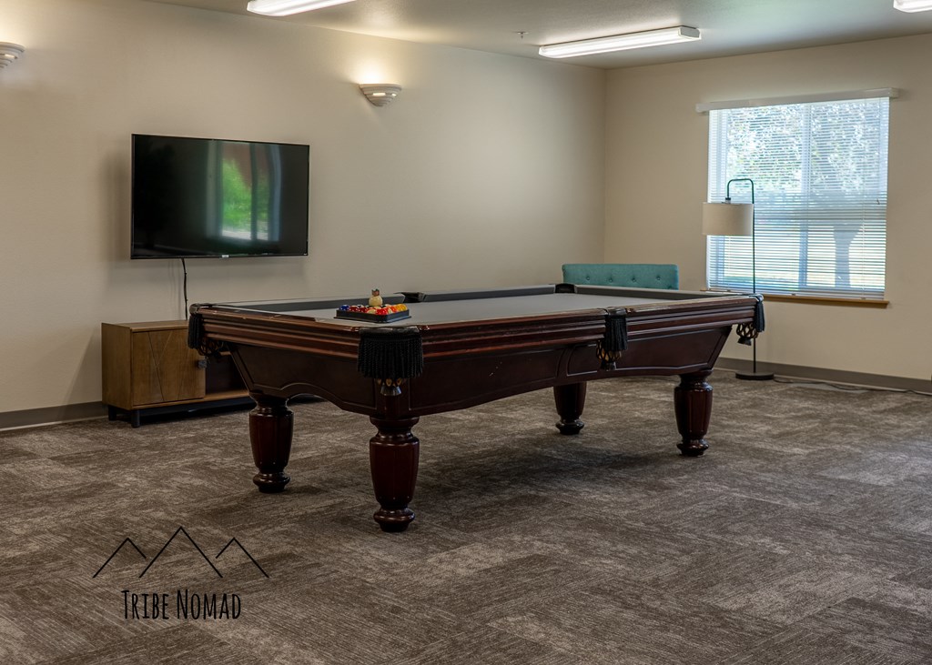 a game room with a pool table and a tv
