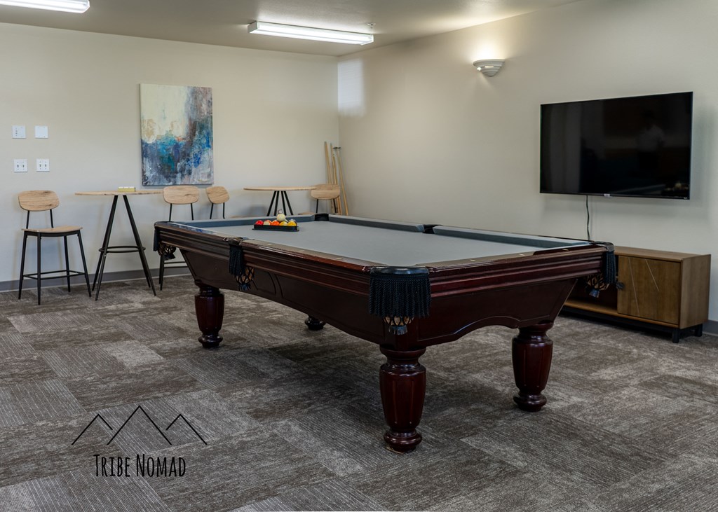 a game room with a pool table and a tv