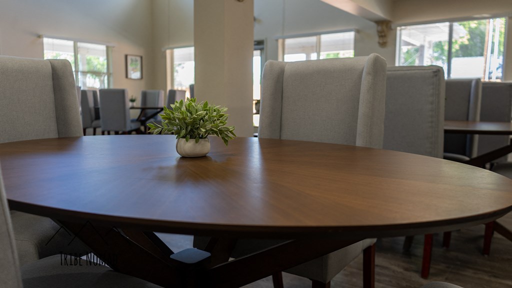 a dining room with chairs and a table with a plant on it