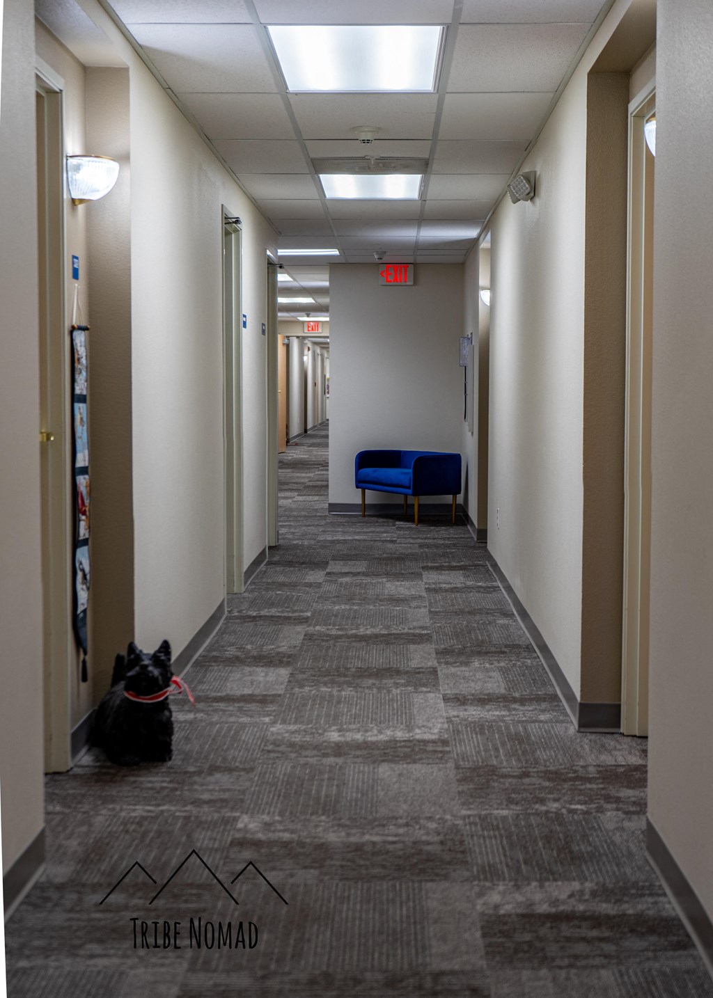 a dog sitting in the hallway of an empty office building