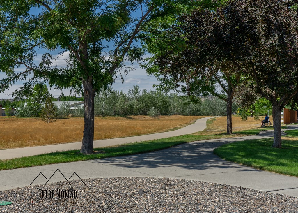 a paved path through a park with trees and grass