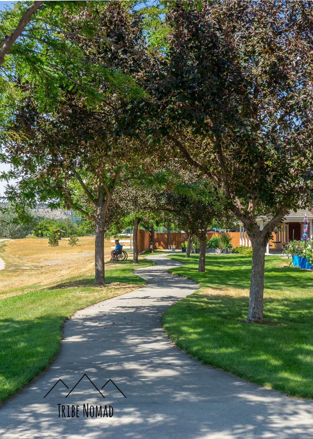 a path through a park with trees and a school in the background