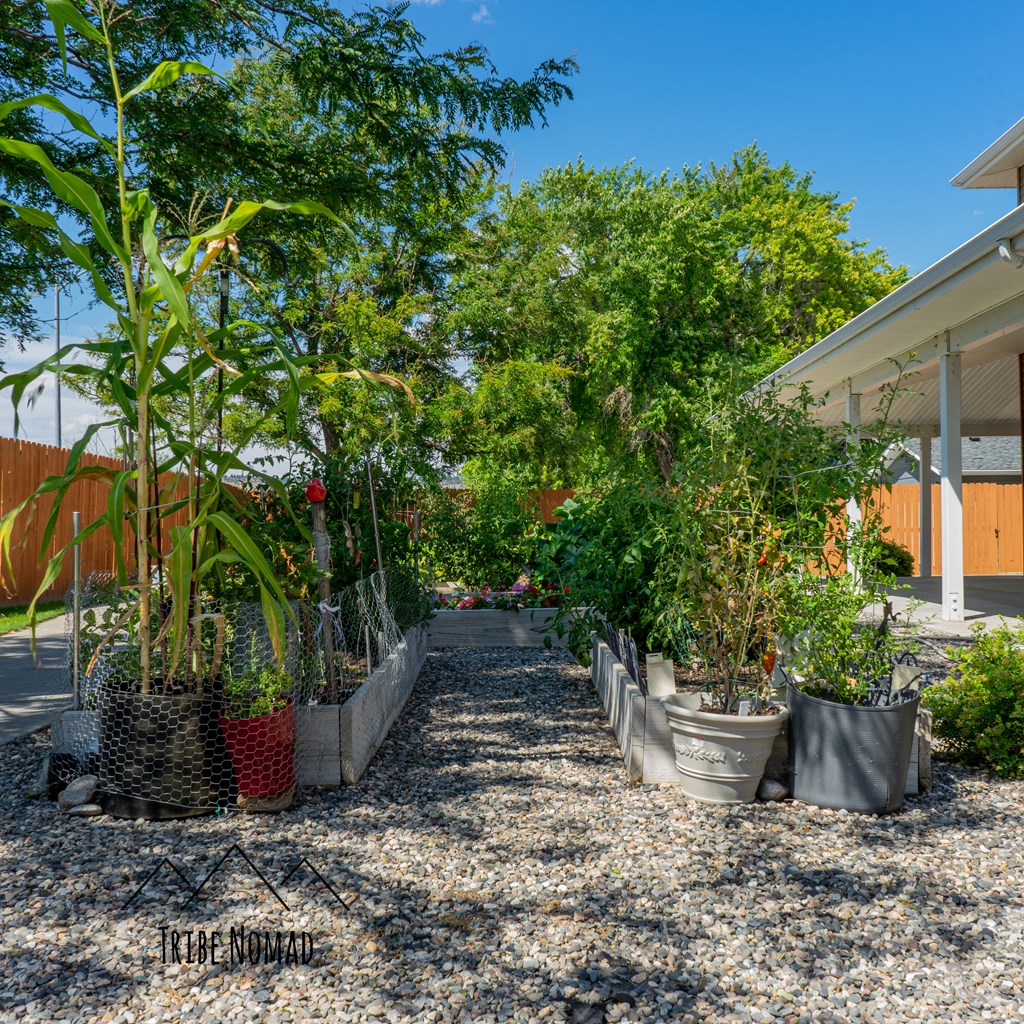 a row of potted plants in front of a house
